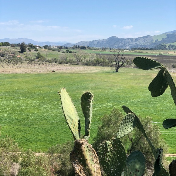 Meet your Posher, Marie - Picture 1 of 1